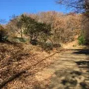 鬼怒川の画像