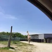 ゆるな☆