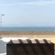 bloomの画像