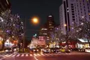 トミーコックの画像