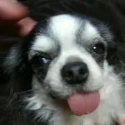 こころ‼
