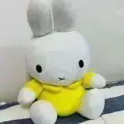 ともともの画像