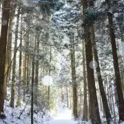 にゃプロフ確認お願いしますの画像