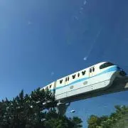 パンダ（プロフ必読）