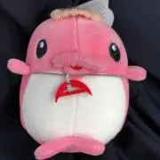 ここるちゃん