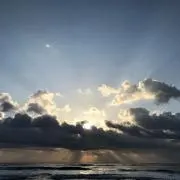 初心者ですの画像