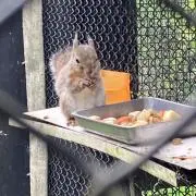 メリカリ(^^)