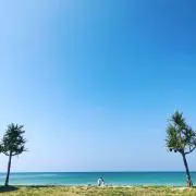 aoiro