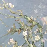 Marsの画像