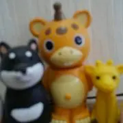 ぽちこ