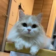 うる