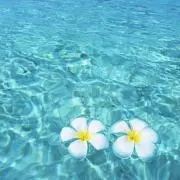 ☆さくら☆