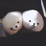 狐吉｜同梱お値引◎の画像