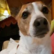 りんママ★の画像