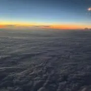ハクの画像