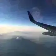 ココ_即日発送の画像