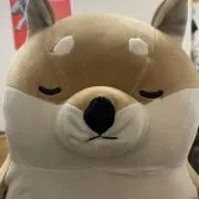 ひじき