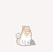 ゆめ@発送2~3日かかりますの画像