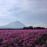 YOSHIKOの画像