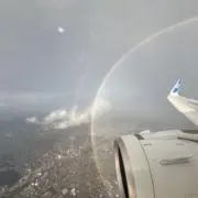 トラ吉の画像