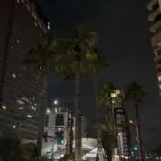 ggg.Yの画像