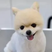 キャナ
