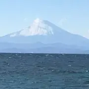 asashinの画像