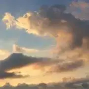 hachikoの画像