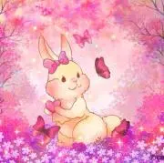 のどかの画像