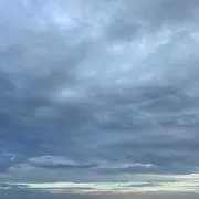 ブーちゃん