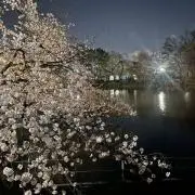 nonの画像