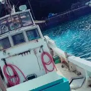 DJ神対応