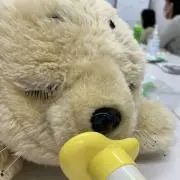 しばやみぃ