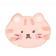 チャチャの画像