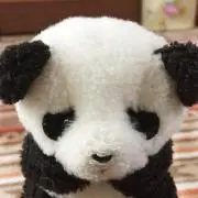 ぱんの画像