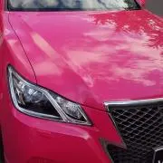 Pink×Blackの画像