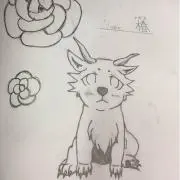 たぬきの画像