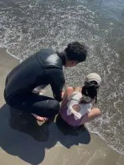 Epiphone Explorer 2010年製 最終価格になります 限定生産 - メルカリ