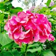 ちゅらまめ★プロフ必読★の画像