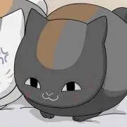 ジャンクッチ