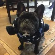 メグメイ