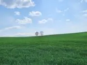 みおみお