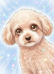 resetbox555の画像