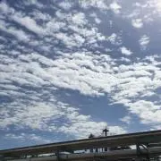 バレロッソの画像