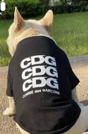 CDGの画像