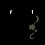 ず