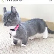 ☆Hiro 8731☆の画像