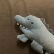 INUの画像