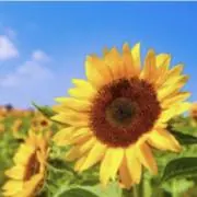 断捨離中☻即購入OK⭐︎の画像