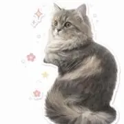 RA-RAの画像
